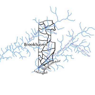 Export Image